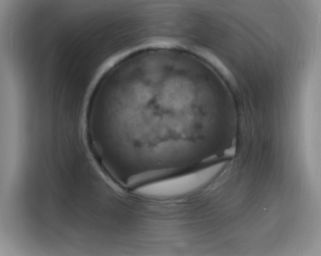 X0000115731327200911191404