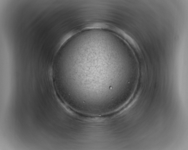 X0000115731329200911191404