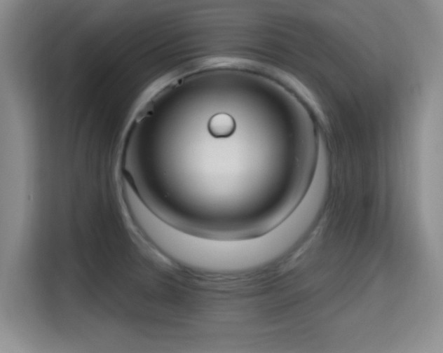 X0000115731330200911191404