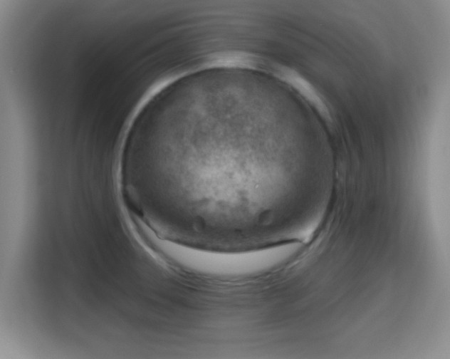 X0000115731331200911191404