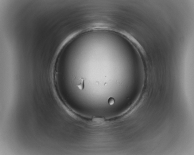 X0000115731333200911191404