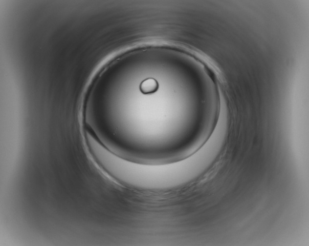 X0000115731334200911191404