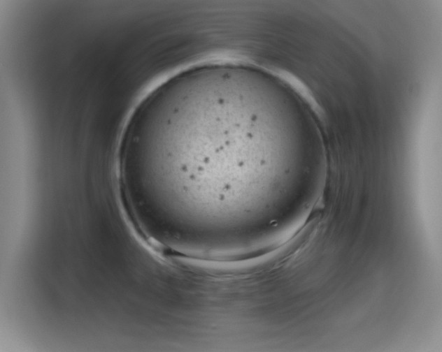 X0000115731335200911191404
