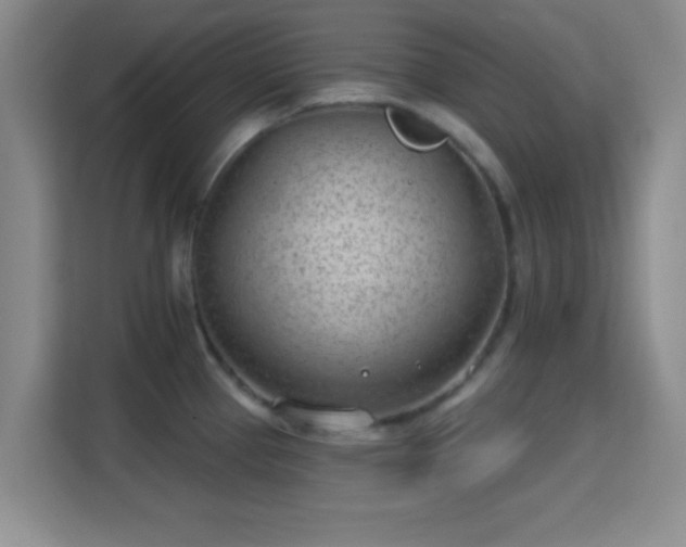 X0000115731337200911191404