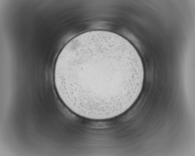 X0000115731338200911191404