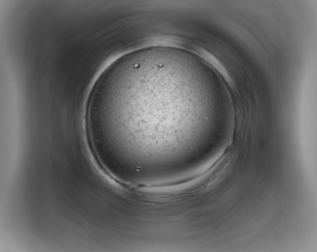 X0000115731339200911191404