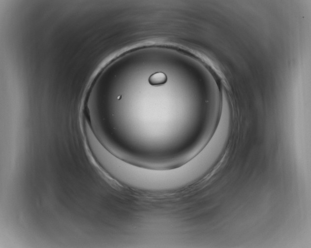 X0000115731342200911191404