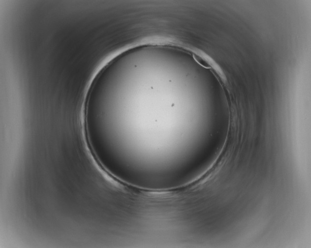 X0000115731343200911191404