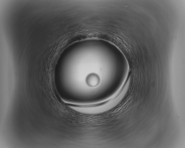 X0000115731345200911191404