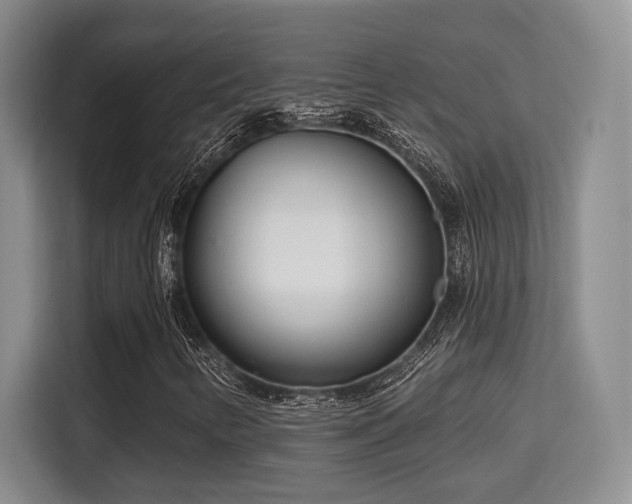 X0000115731346200911191404