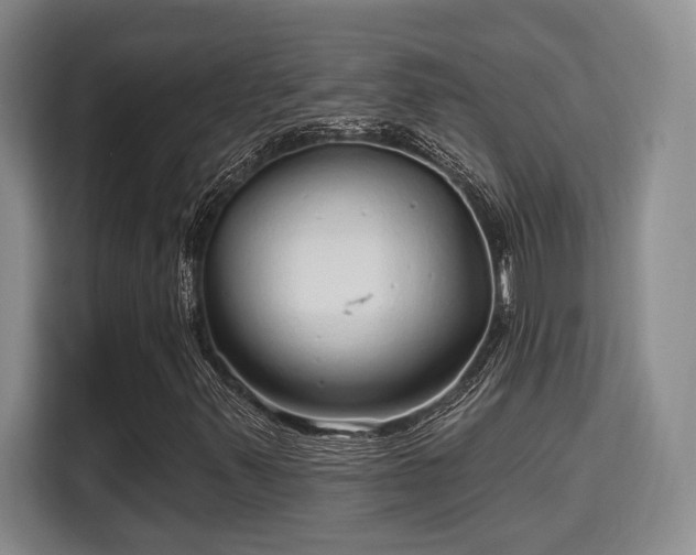 X0000115731347200911191404