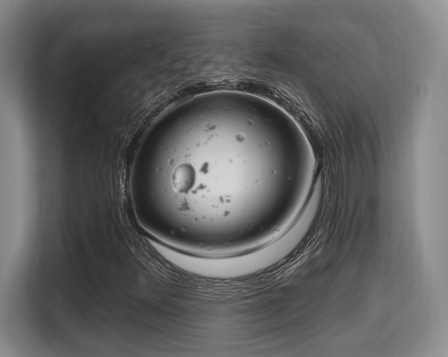 X0000115731348200911191404