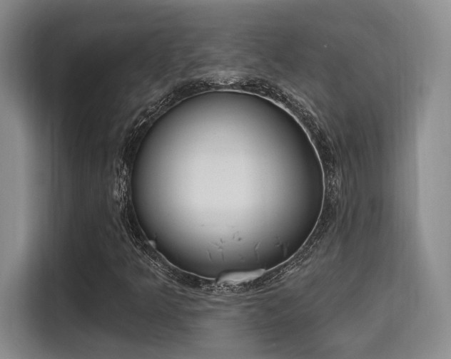 X0000115731349200911191404