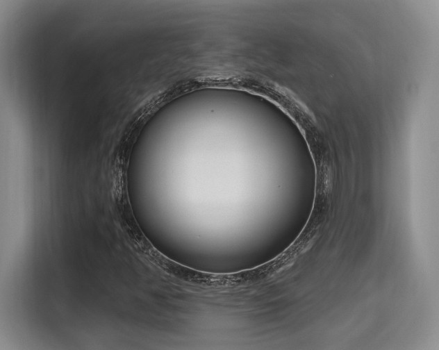 X0000115731350200911191404