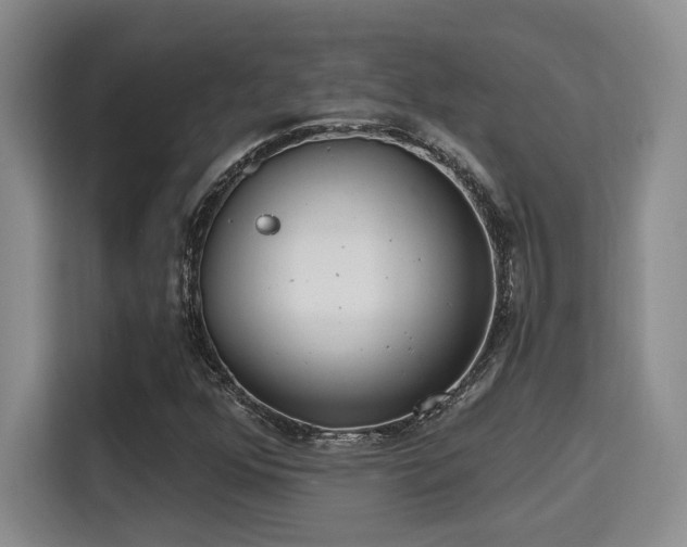 X0000115731352200911191404