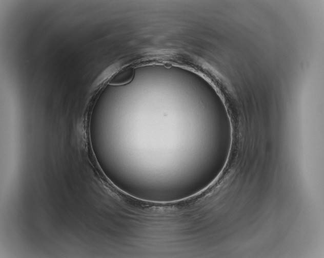 X0000115731354200911191404