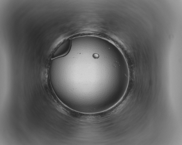 X0000115731355200911191404