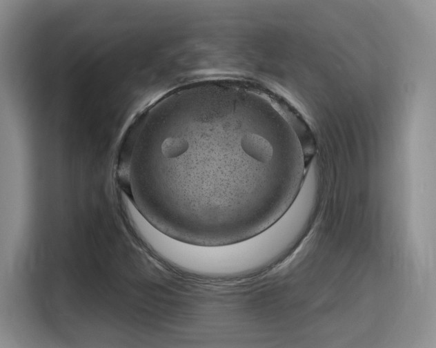 X0000115731357200911191404