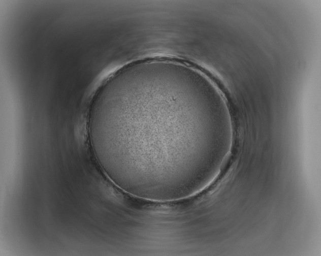 X0000115731359200911191404