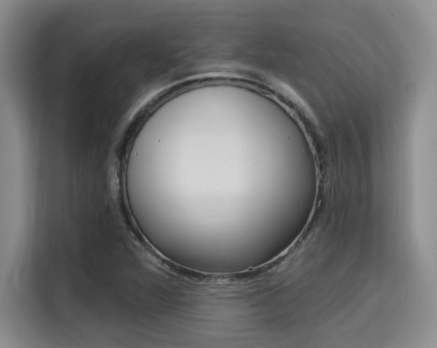 X0000115731360200911191403