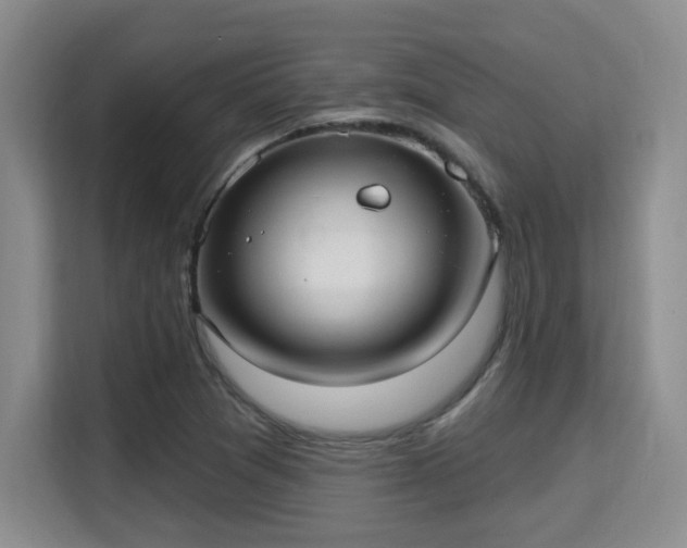 X0000115731361200911191403