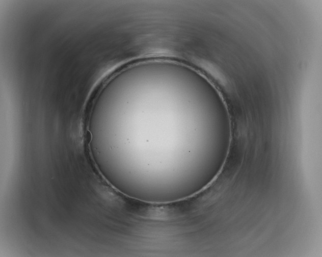 X0000115731364200911191403