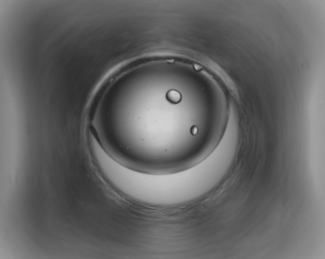 X0000115731368200911191403