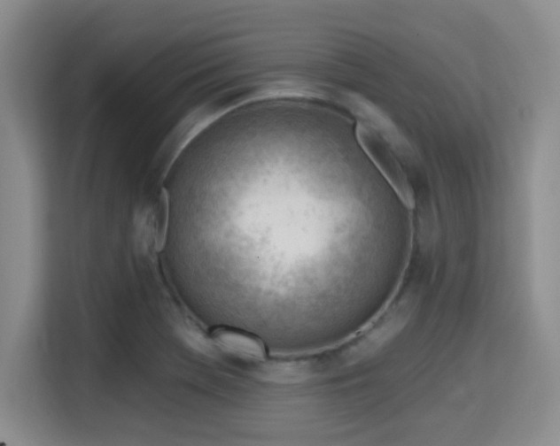 X0000115731369200911191403