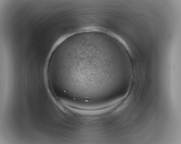 X0000115731373200911191403