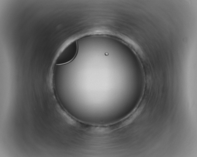 X0000115731374200911191403