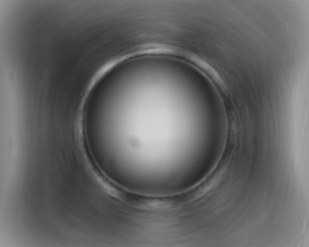 X0000115731375200911191403