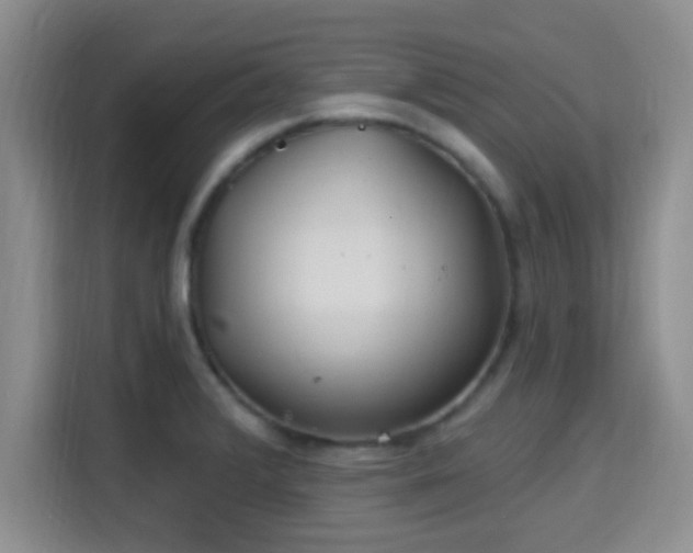 X0000115731376200911191403