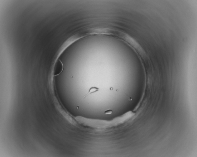 X0000115731378200911191403