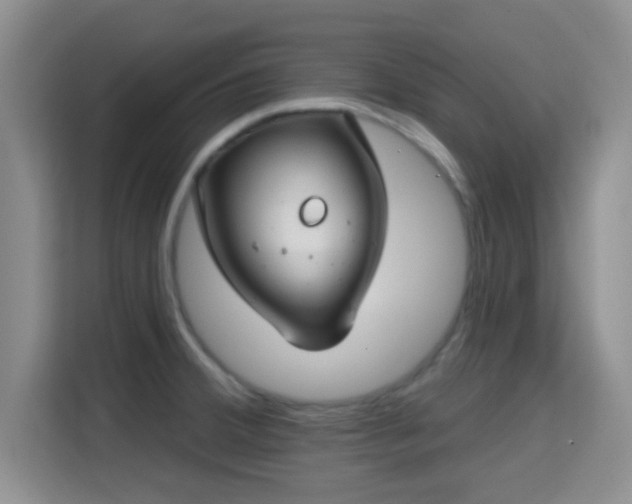 X0000115731380200911191403