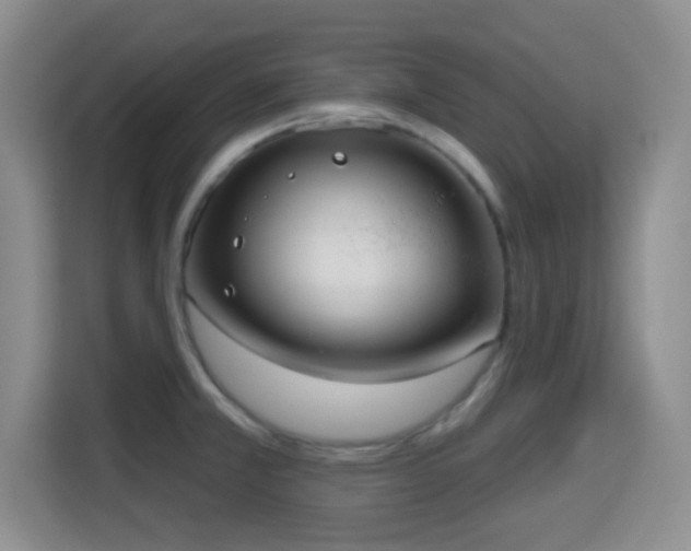 X0000115731381200911191403