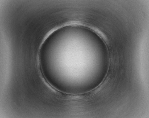 X0000115731382200911191403