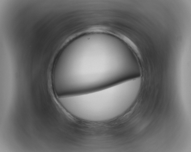 X0000115731384200911191403