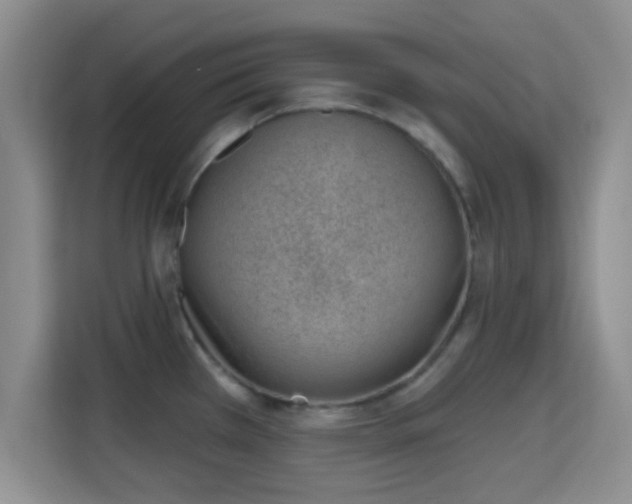 X0000115731385200911191403