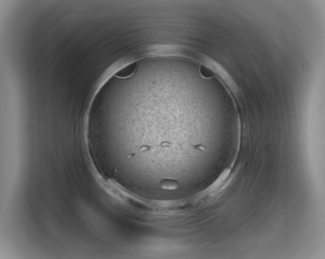 X0000115731386200911191403