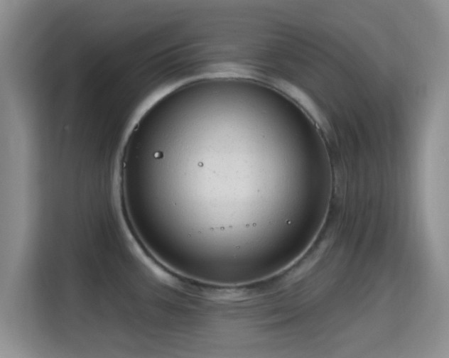 X0000115731387200911191403