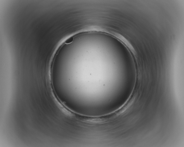 X0000115731388200911191403