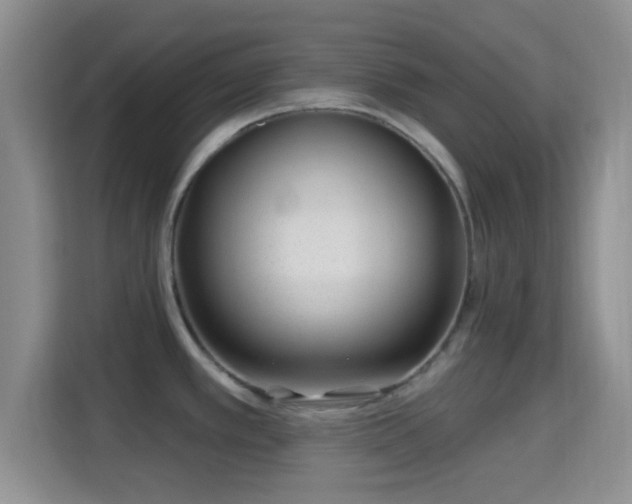 X0000115731389200911191403