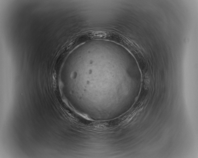 X0000115731394200911191402