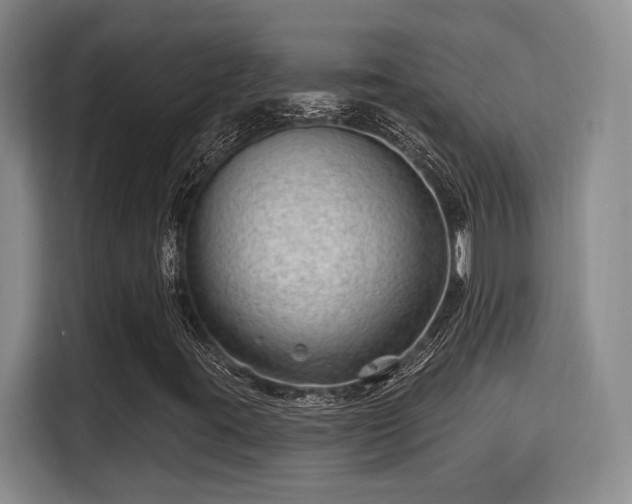 X0000115731395200911191402