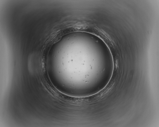 X0000115731396200911191402