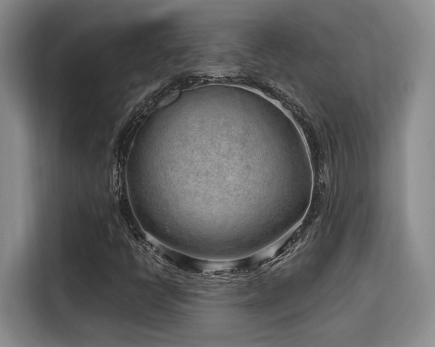 X0000115731398200911191402