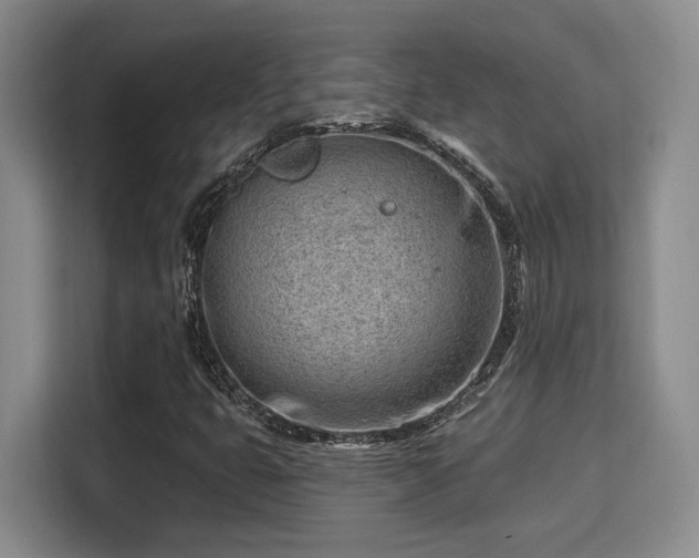 X0000115731399200911191402