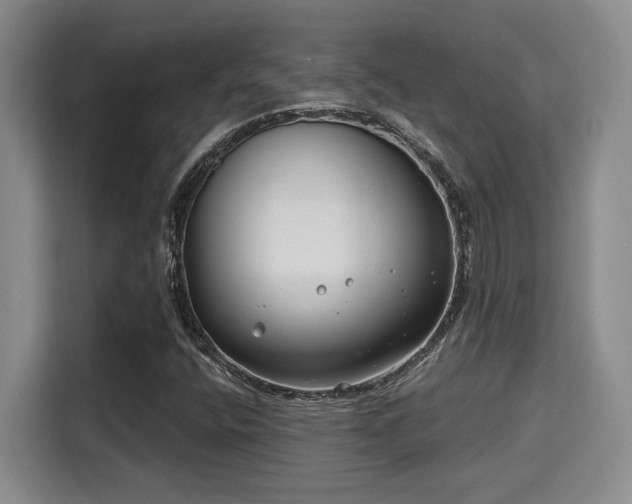 X0000115731400200911191402