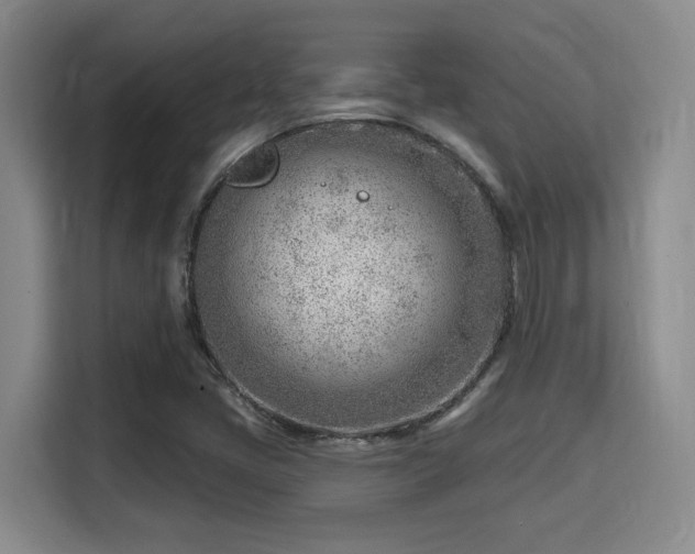 X0000115731405200911191403