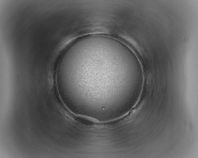 X0000115731407200911191403